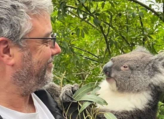 A Man With Grey Hair And Beard Holding A Koala And Smiling At It While The Koala May Be Smiling Or Looking Suspiciously At The Man While Nibbling On Eucalyptus Leaves.