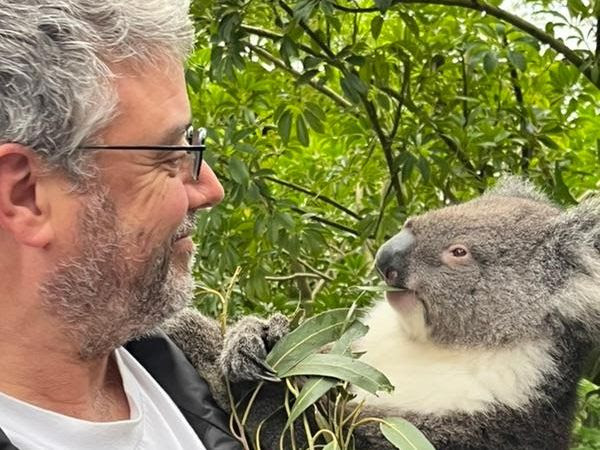 A man with grey hair and beard holding a koala and smiling at it while the koala may be smiling or looking suspiciously at the man while nibbling on eucalyptus leaves.